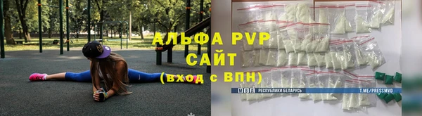 твердый Бородино