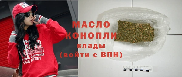 твердый Бородино