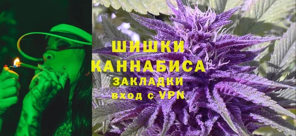 твердый Бородино