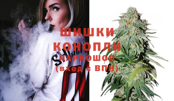 твердый Бородино